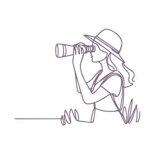 CC Website Move Squarsdsdsdse