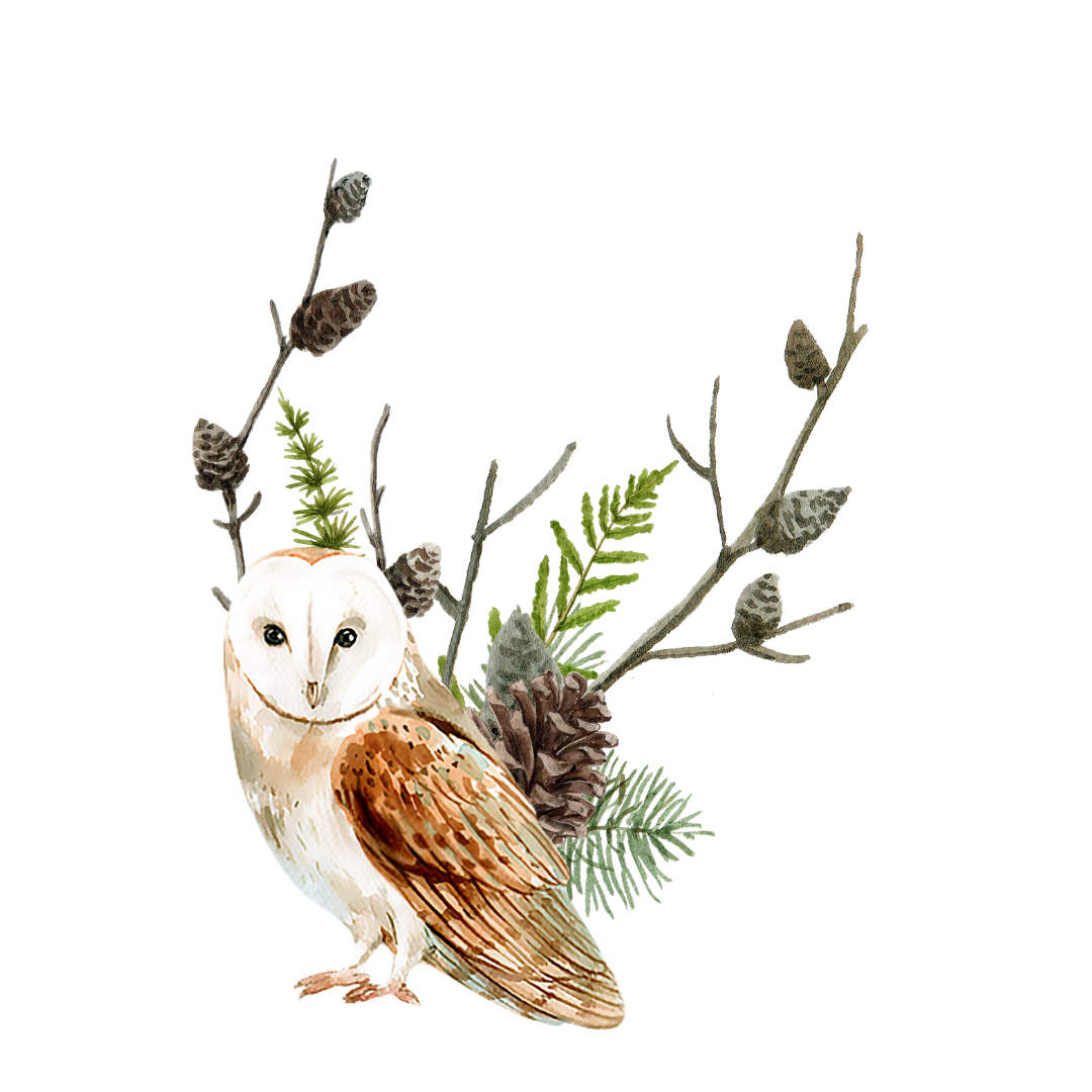 Virtual Assistant Services